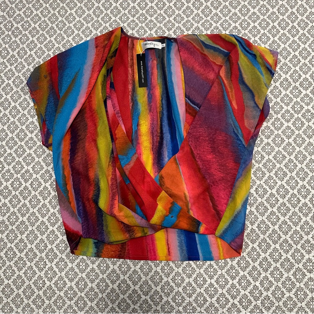 Alana Kay Art Multi Colored Top XL